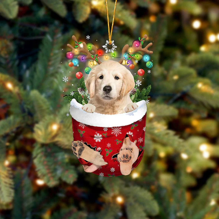 Golden Retriever In Snow Pocket Christmas Ornament SP051