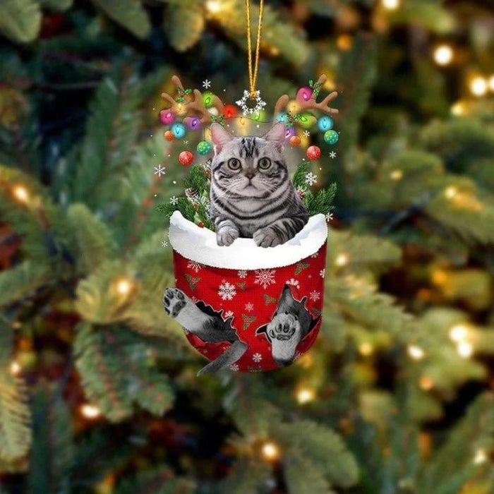 Cat In Snow Pocket Christmas Ornament SP189