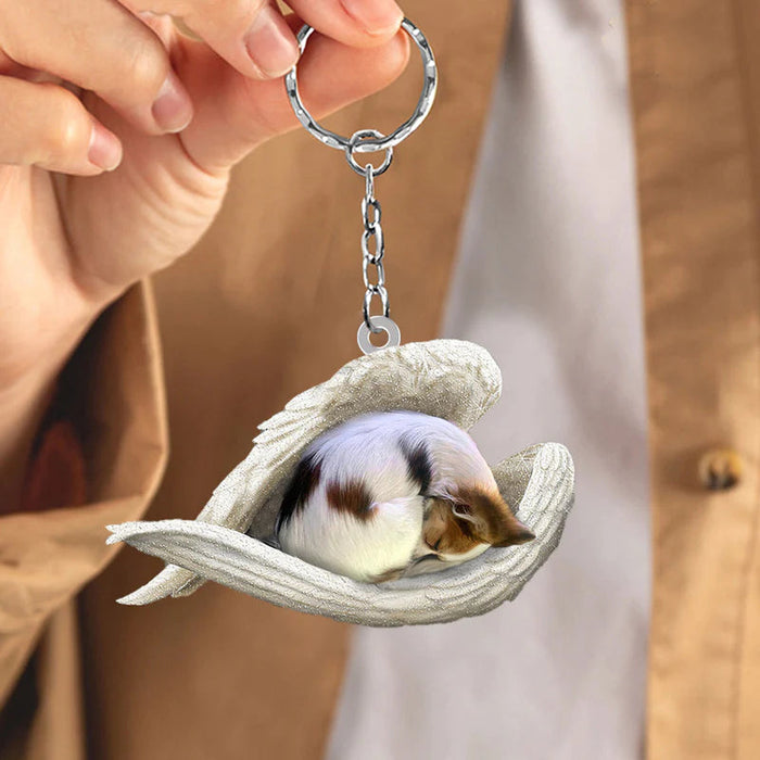 Sleeping Angel Acrylic Keychain Papillon