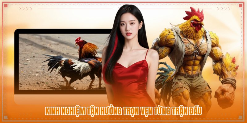 Kinh nghiệm tận hưởng trọn vẹn từng trận đấu Kinh nghiệm tận hưởng trọn vẹn từng trận đấu